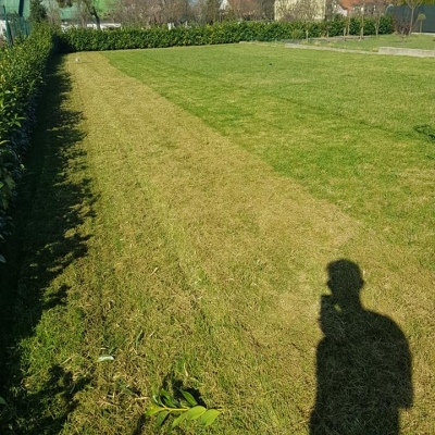 Košnja travnjaka, strojno prozračivanje, proljetna prihrana dušičnim gnojivom cijena, Hrvatska