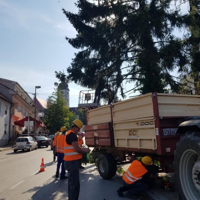 Uklanjanje potencijalno opasnih stabala u urbanim sredinama cijena, Hrvatska