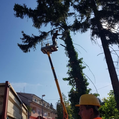 Uklanjanje potencijalno opasnih stabala u urbanim sredinama cijena, Hrvatska