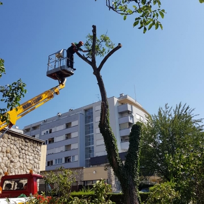 Uklanjanje i orezivanje velikih stabala cijena, Hrvatska