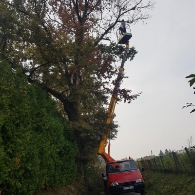 Uklanjanje opasnih stabala, košnja trave i orezivanje živica cijena, Hrvatska
