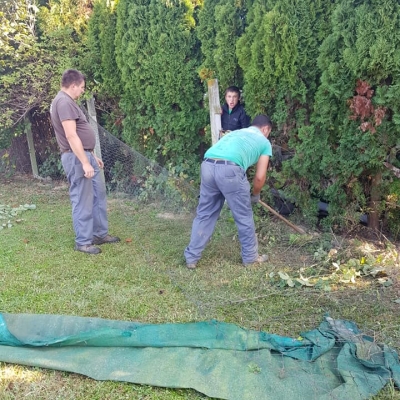 Uklanjanje stare žičane ograde i živice prije sadnje novih biljaka cijena, Hrvatska