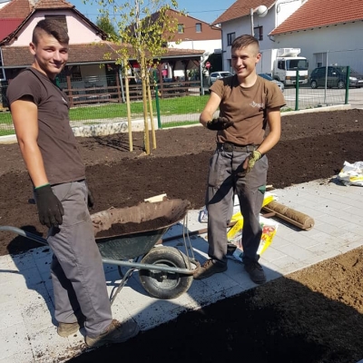 Kulturni centar Dubrava, hortikulturni radovi sadnje stabala i uređenja travnjaka cijena, Hrvatska