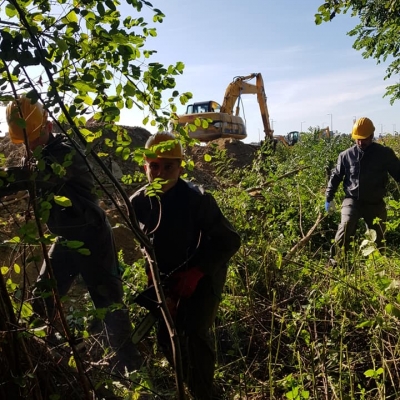 Krčenje šume i čišćenje parcele, priprema za gradilište cijena, Hrvatska