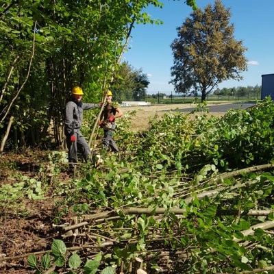 Krčenje šume i čišćenje parcele, priprema za gradilište cijena, Hrvatska