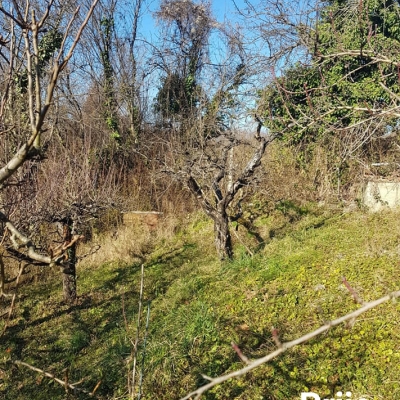 Čišćenje rubova parcele, rušenje suhih stabala cijena, Hrvatska
