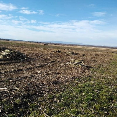 Krčenje i čišćenje parcele za buduću poljoprivrednu namjenu cijena, Hrvatska