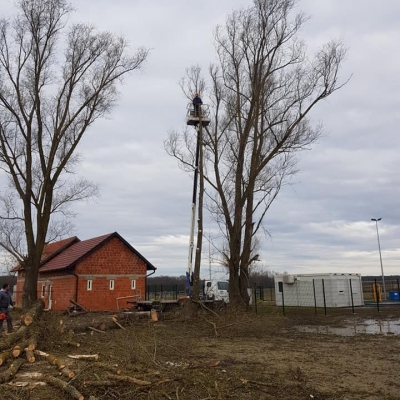 Uklanjanje potencijalno opasnih stabala uz dva objekta i zbrinjavanje biootpada cijena, Hrvatska