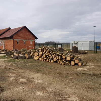 Uklanjanje potencijalno opasnih stabala uz dva objekta i zbrinjavanje biootpada cijena, Hrvatska