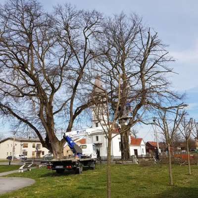 Orezivanje velikih stabala cijena, Hrvatska