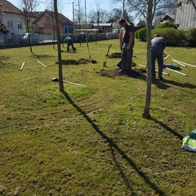 Radovi sadnje i stabilizacije novih stabala cijena, Hrvatska