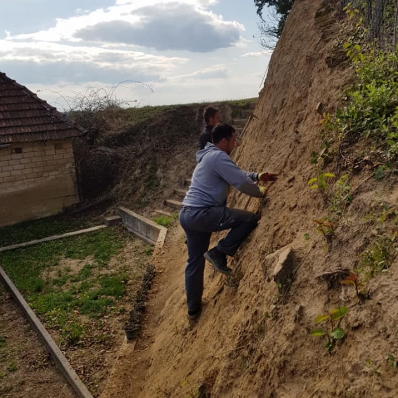 Sadnja ukrasnih pokrivača tla