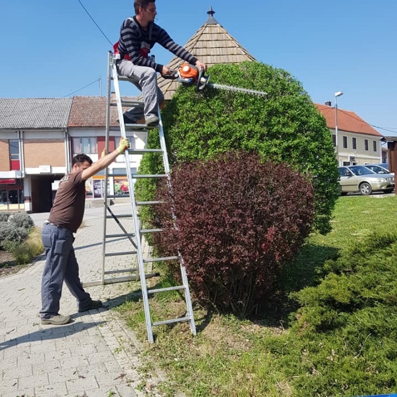Urbano šumarstvo