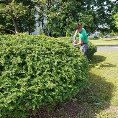 Šišanje 800 metara živice cijena, Hrvatska