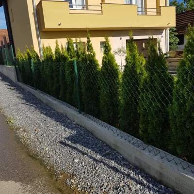 Instant živa ograda, prekrasne tuje smaragd cijena, Hrvatska