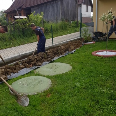Instant živa ograda, prekrasne tuje smaragd cijena, Hrvatska