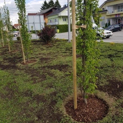 3d rješenje realizirano - projekt uređenja javne površine cijena, Hrvatska