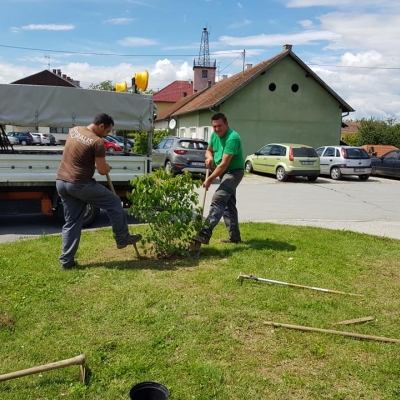 3d rješenje realizirano - projekt uređenja javne površine cijena, Hrvatska