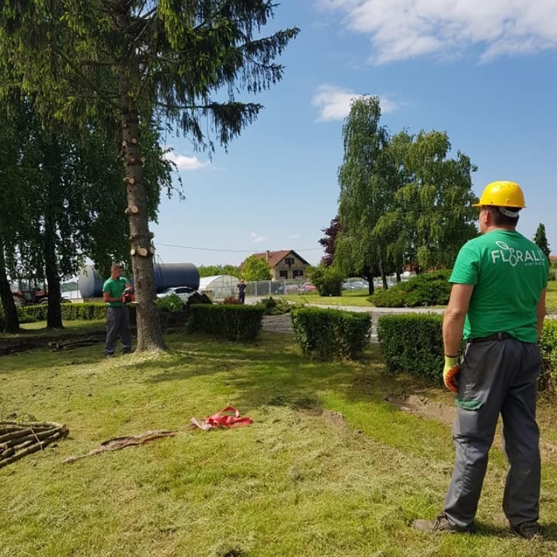 Čišćenje parcele i uklanjanje starog bilja