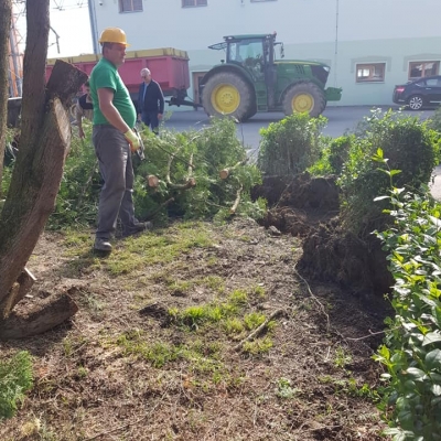 Čišćenje parcele i uklanjanje starog bilja cijena, Hrvatska
