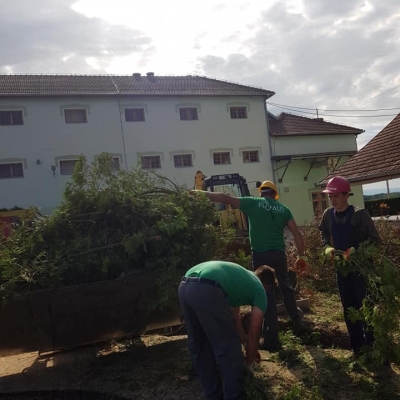 Čišćenje parcele i uklanjanje starog bilja cijena, Hrvatska