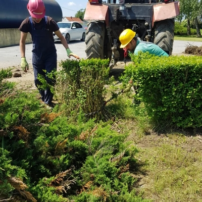 Čišćenje parcele i uklanjanje starog bilja cijena, Hrvatska