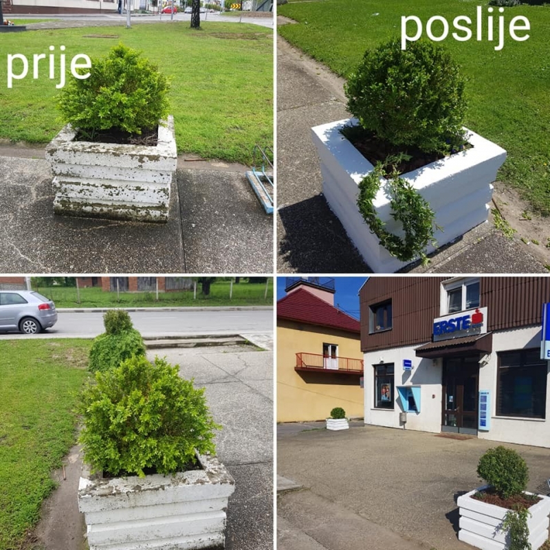 Osvježavanje i obnova žardinjera