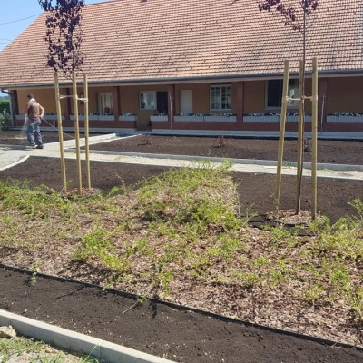3D projekt - sadnja bilja, postavljanje specijaliziranih vrtnih rubnjaka cijena, Hrvatska