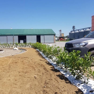 3D projekt - sadnja bilja, postavljanje specijaliziranih vrtnih rubnjaka cijena, Hrvatska