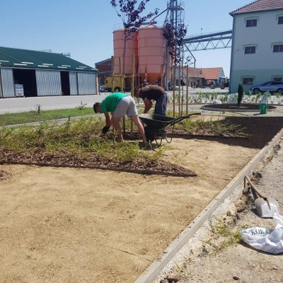 3D projekt - sadnja bilja, postavljanje specijaliziranih vrtnih rubnjaka cijena, Hrvatska