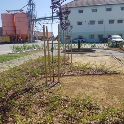 3D projekt - sadnja bilja, postavljanje specijaliziranih vrtnih rubnjaka cijena, Hrvatska