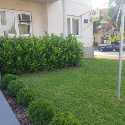 Detalji prekrasnog okoliša općinske zgrade u Dubravi cijena, Hrvatska