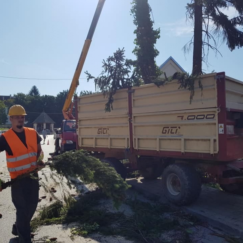 Uklanjanje potencijalno opasnih stabala u urbanim sredinama
