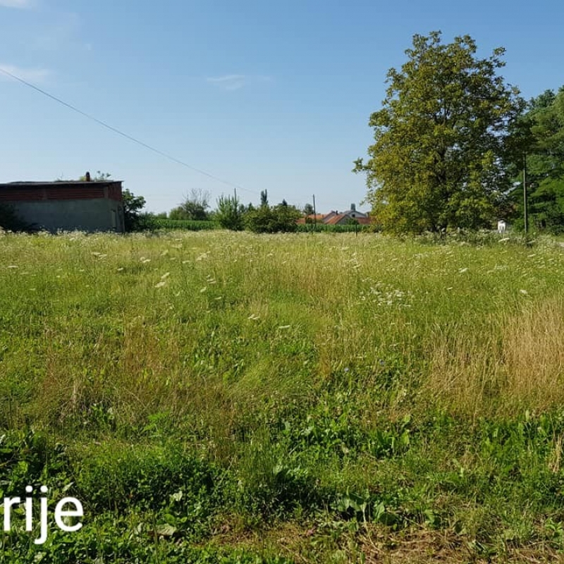 Čišćenje i malčiranje zapuštenih parcela