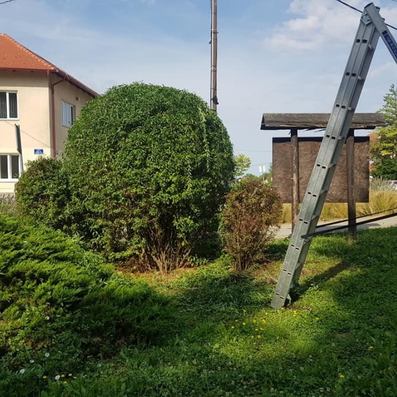 Košnja trave i uređivanje grmova