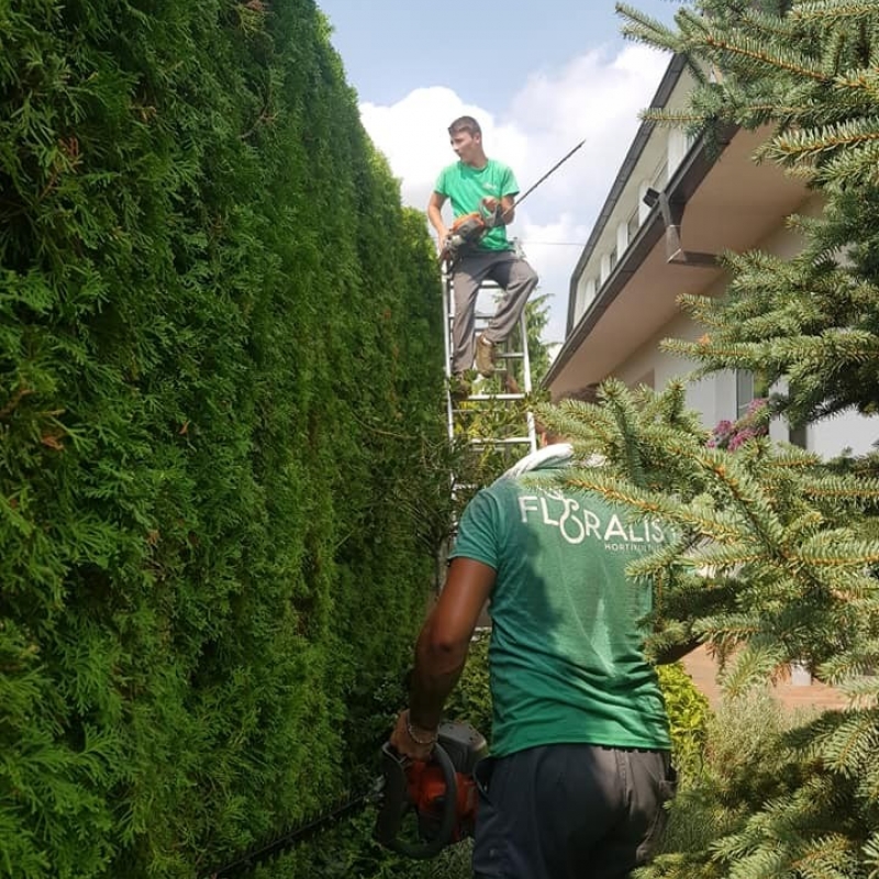 Održavanje zelenih površina naša je specijalnost