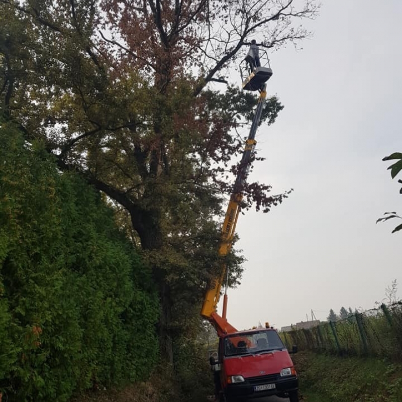Uklanjanje opasnih stabala, košnja trave i orezivanje živica