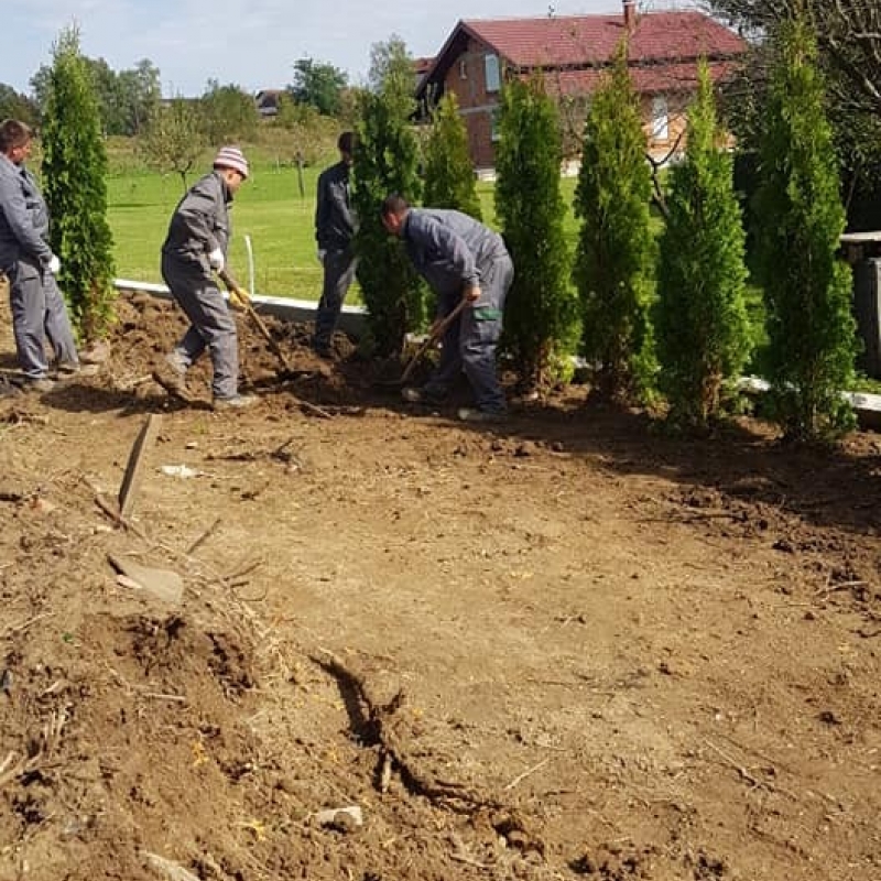 Sadnja tuja visine 2 - 2,20 m, unutar novog dijela proširenog kloštranskog groblja