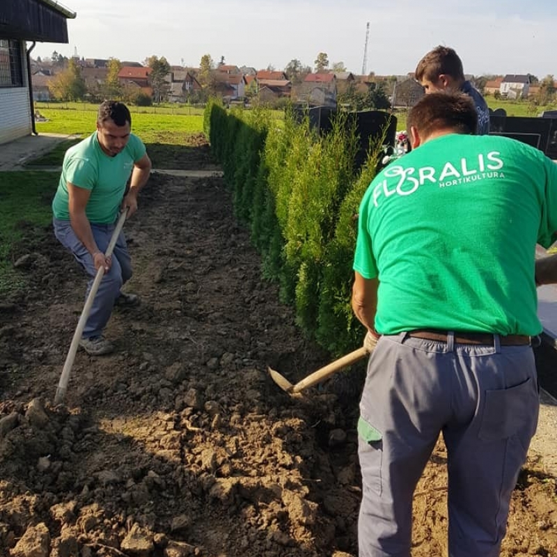 Rekonstrukcija žive ograde na dijelu groblja u Dubravi