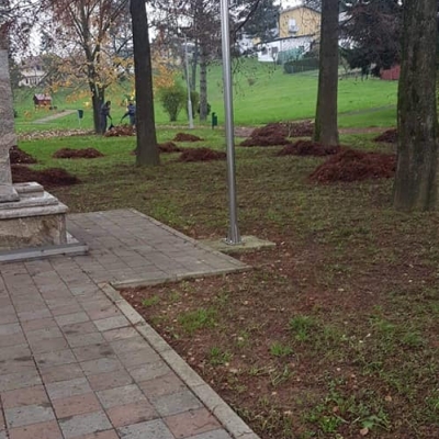 Jesenska sezona lišća u punom pogonu cijena, Hrvatska