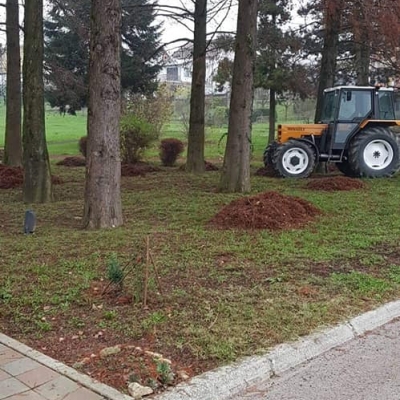 Jesenska sezona lišća u punom pogonu cijena, Hrvatska