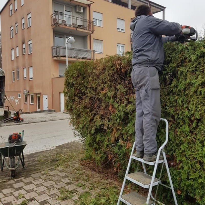 Malo ušminkavanja prije zime