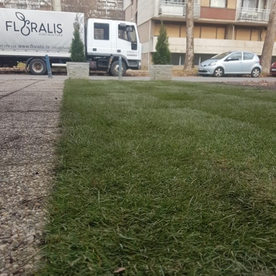 Uklanjanje starog travnjaka, postava novog gotovog travnog tepiha cijena, Hrvatska