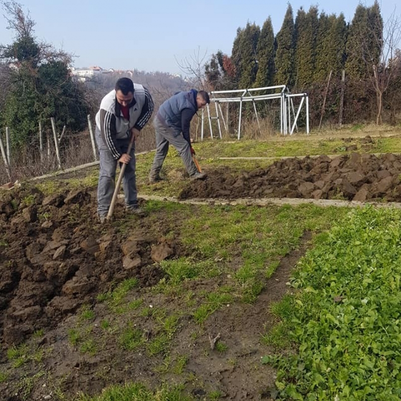 Čišćenje rubova parcele, rušenje suhih stabala