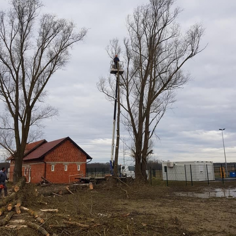 Uklanjanje potencijalno opasnih stabala uz dva objekta i zbrinjavanje biootpada
