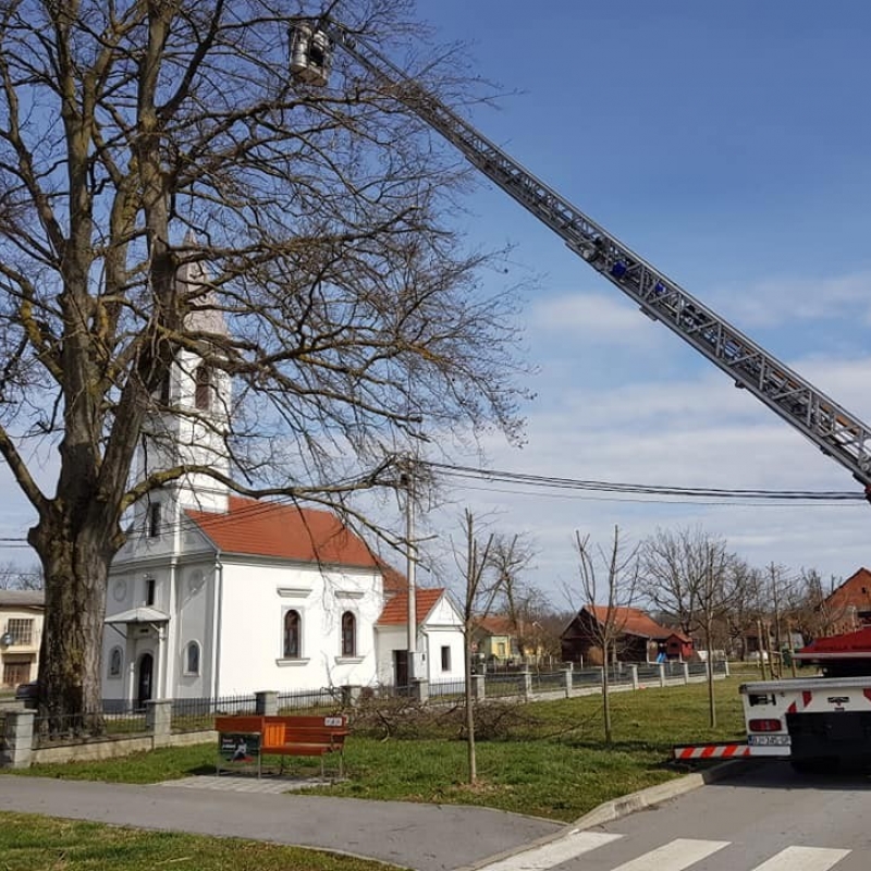 Orezivanje velikih stabala