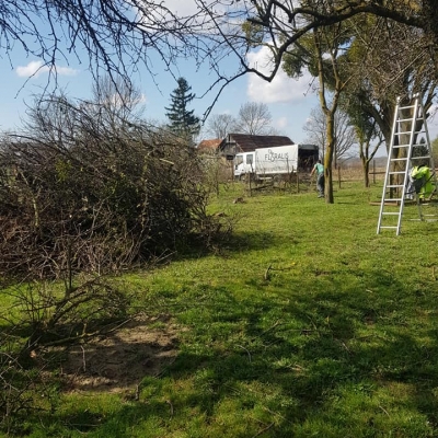 Danas malo uređenje voćnjaka cijena, Hrvatska