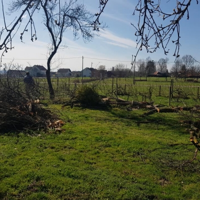 Danas malo uređenje voćnjaka cijena, Hrvatska