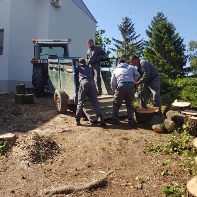 Uklanjanje opasnih stabala oko škole cijena, Hrvatska