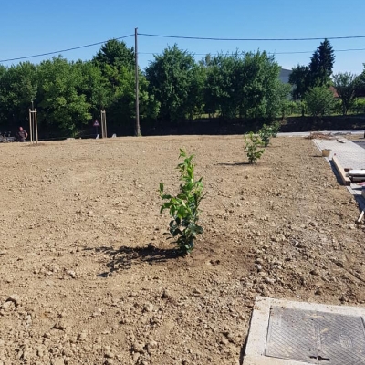 Sadnja stabala, grmova i uređenje novog vatrogasnog doma u Štefanju cijena, Hrvatska
